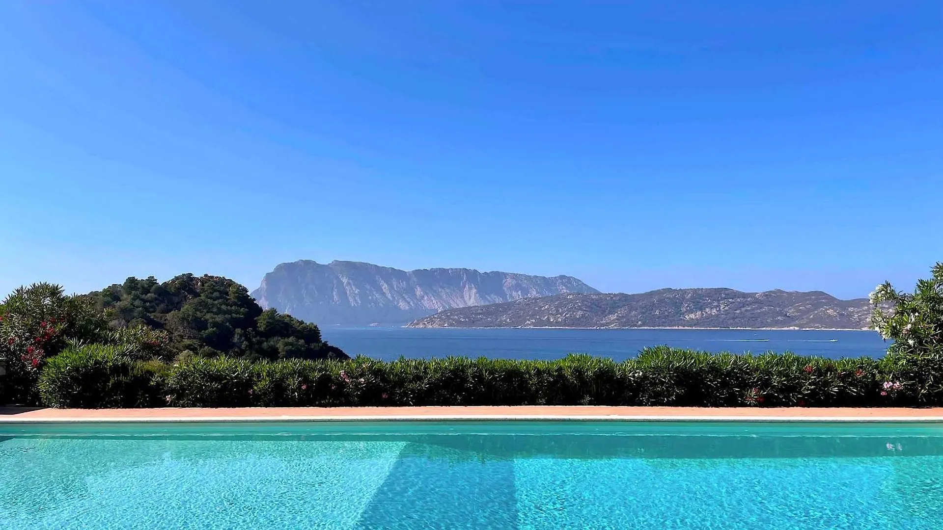Punta Est Spazioso Monolocale Vista Mare Capo Coda Cavallo Apartment